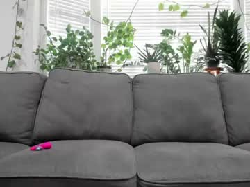 lilypuddles