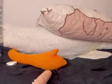 neiljungg
