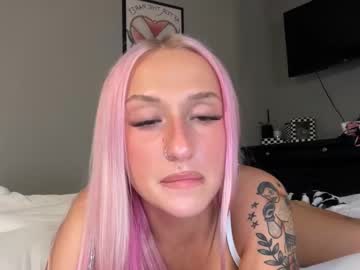 stellacorbet